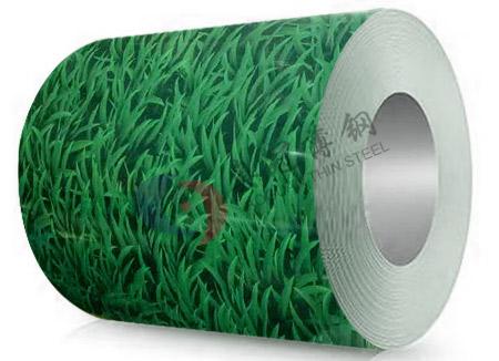 立(li)體印花小草彩塗(tu)卷(juan)